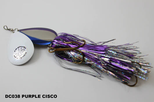 Purple Cisco