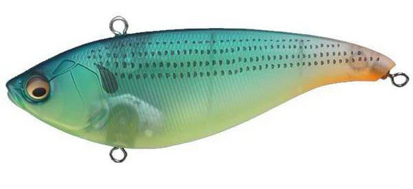 Closer Look at the 10,000 Fish Head Hunter Lipless Weedless Bass Fishing  Lure 