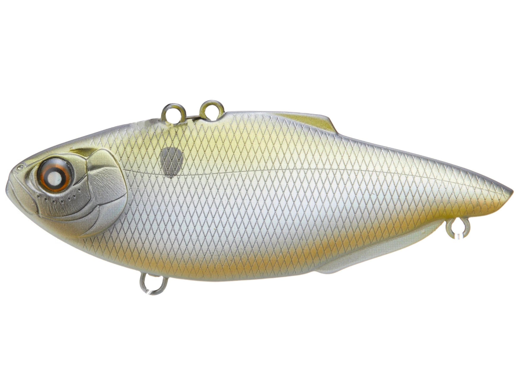 MAURICE SPORTING GOODS Speedy Shiner Fishing Lure, Topwater Lures -   Canada