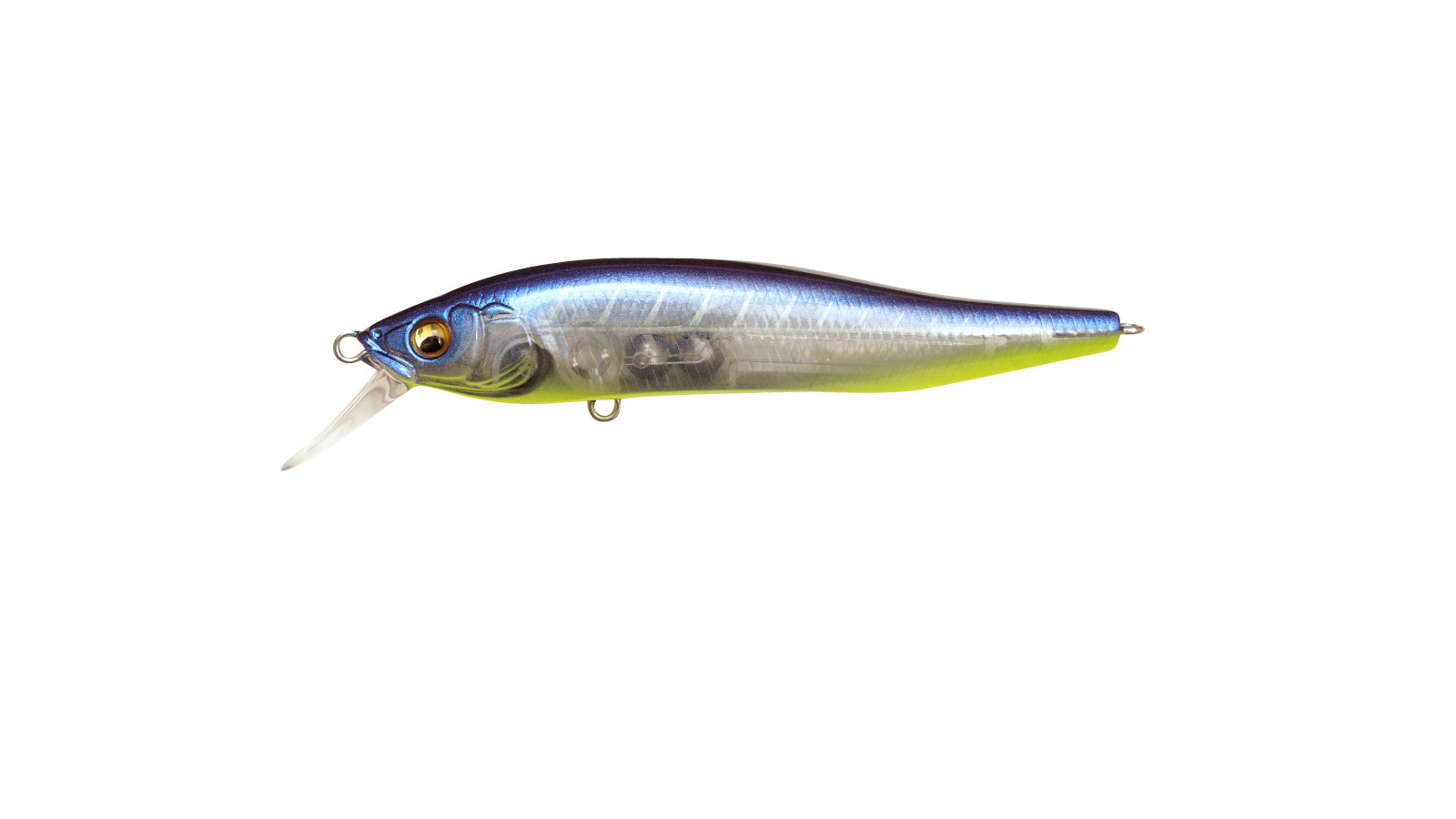 Buy LUCKY CRAFTFlashMinnow 110SP, Fishing Jerkbait Side by Side Action  Lure, Halibut Striper Calico Bass White Seabass Perfect Wobbling Surf  Fishing Online at desertcartEGYPT