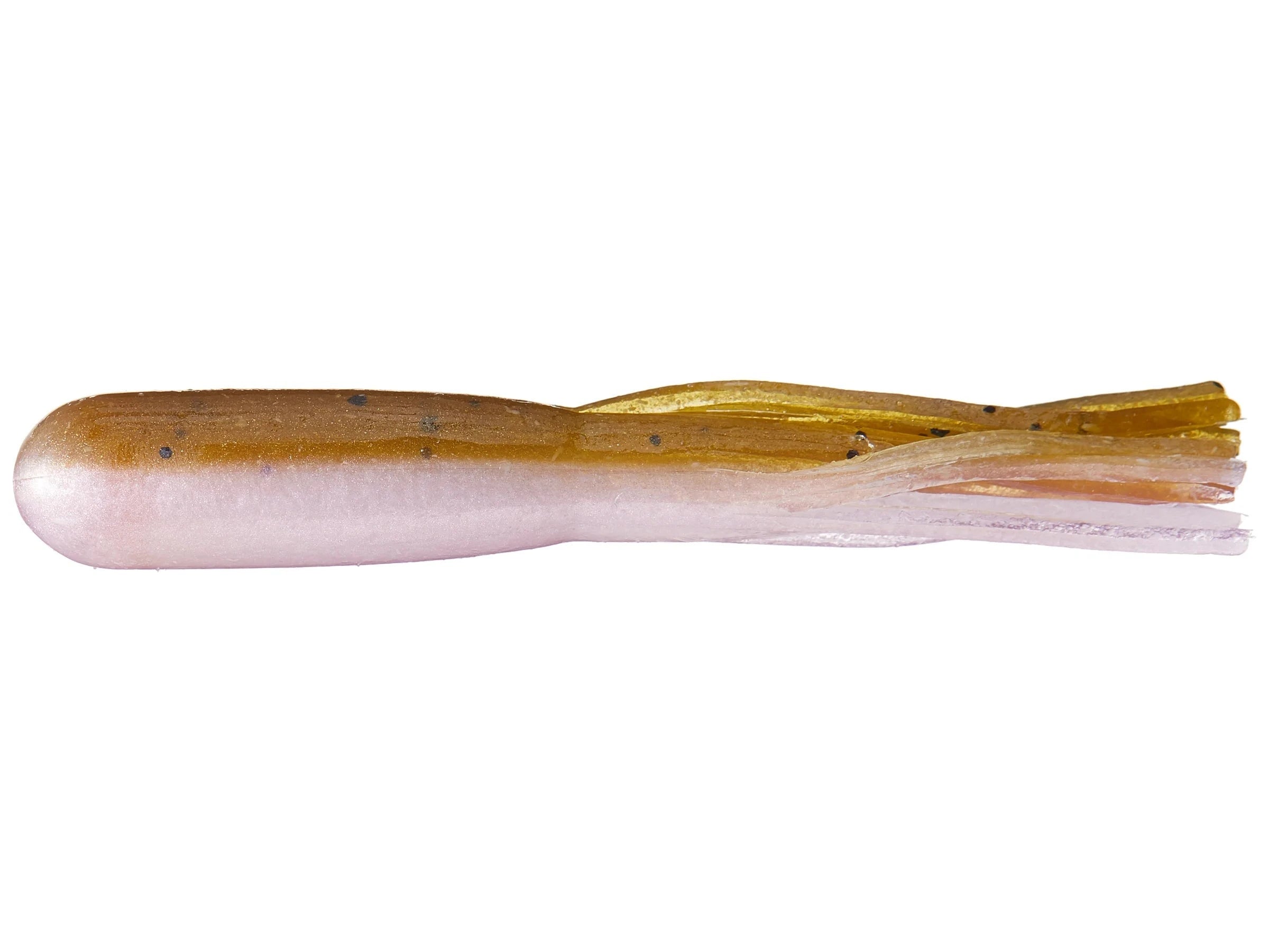 Juvenile Goby
