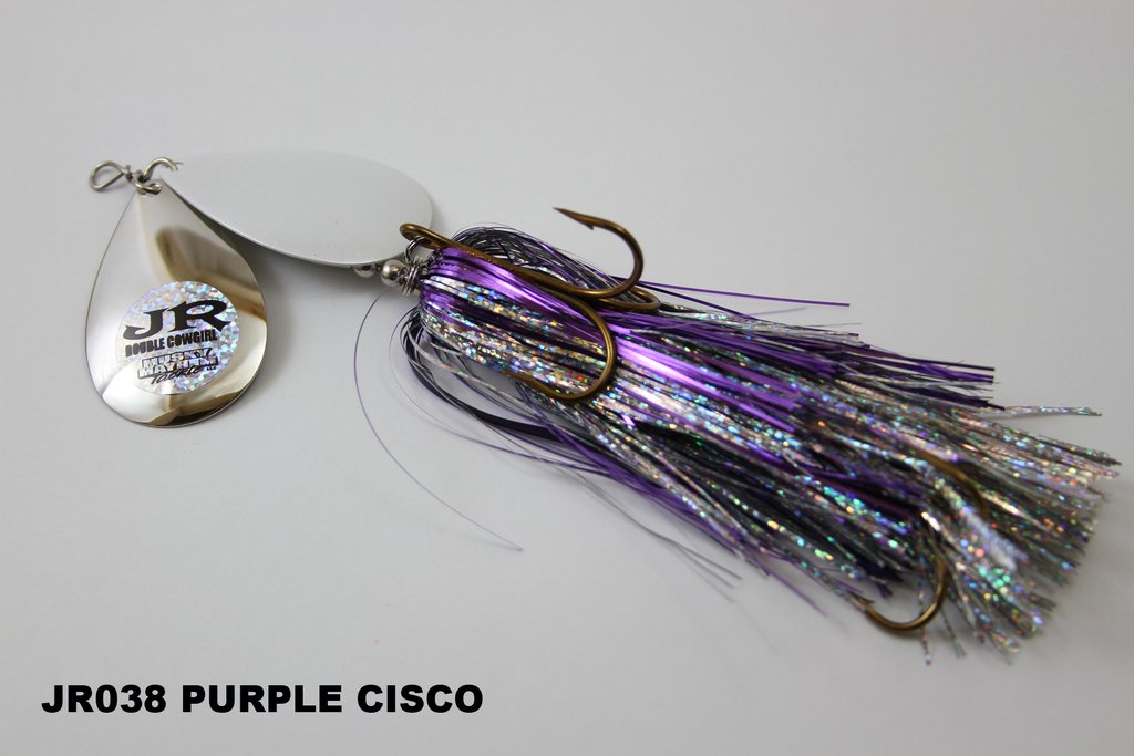 Purple Cisco