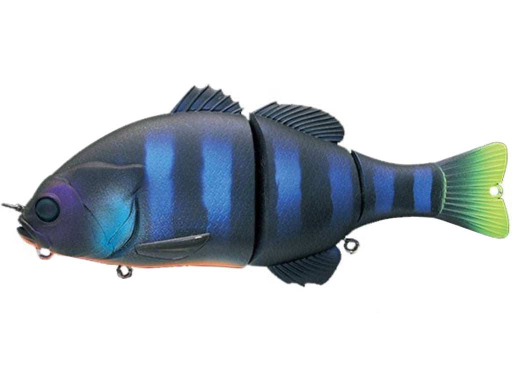 Bass Pro Shops 蓝鳃太阳鱼鱼饵、诱饵
