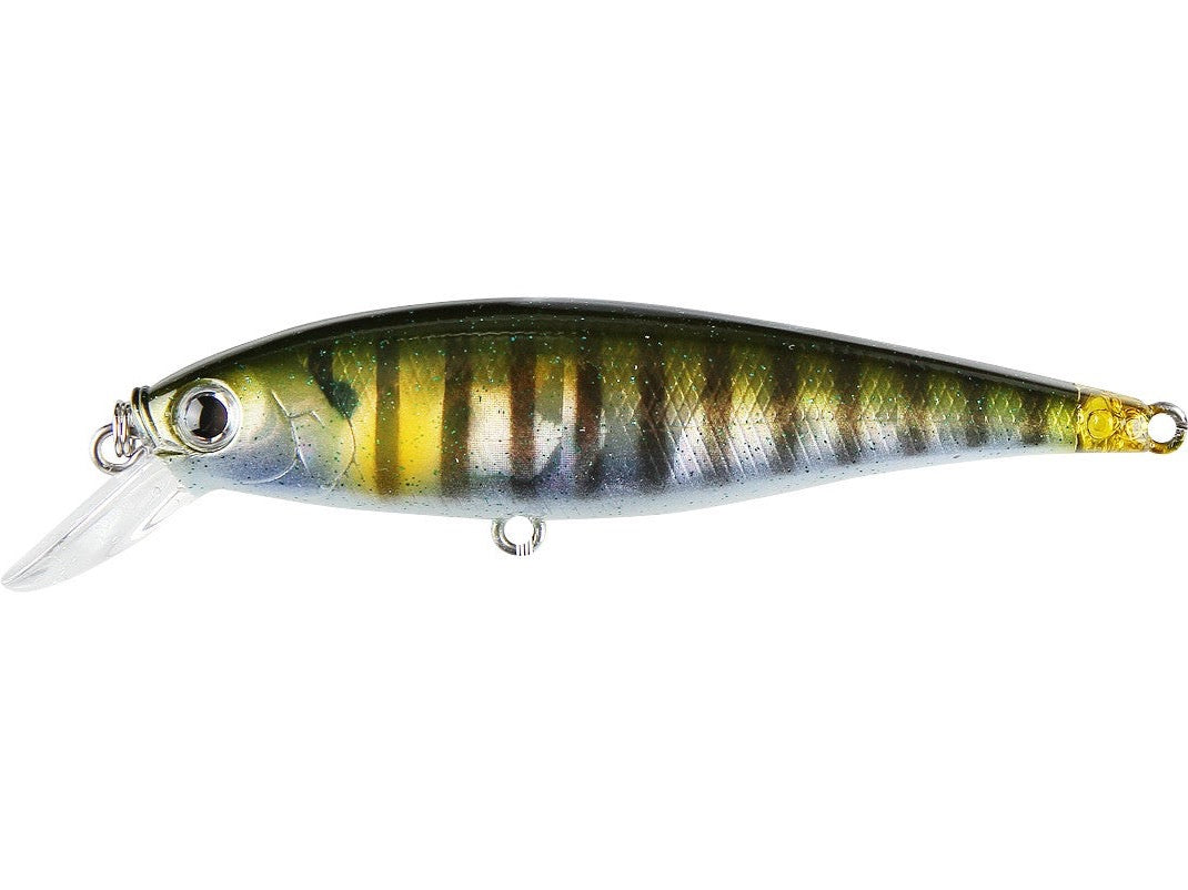  LUCKY CRAFT Pointer 100 (052 Aurora Black) : Artificial Fishing  Bait : Sports & Outdoors