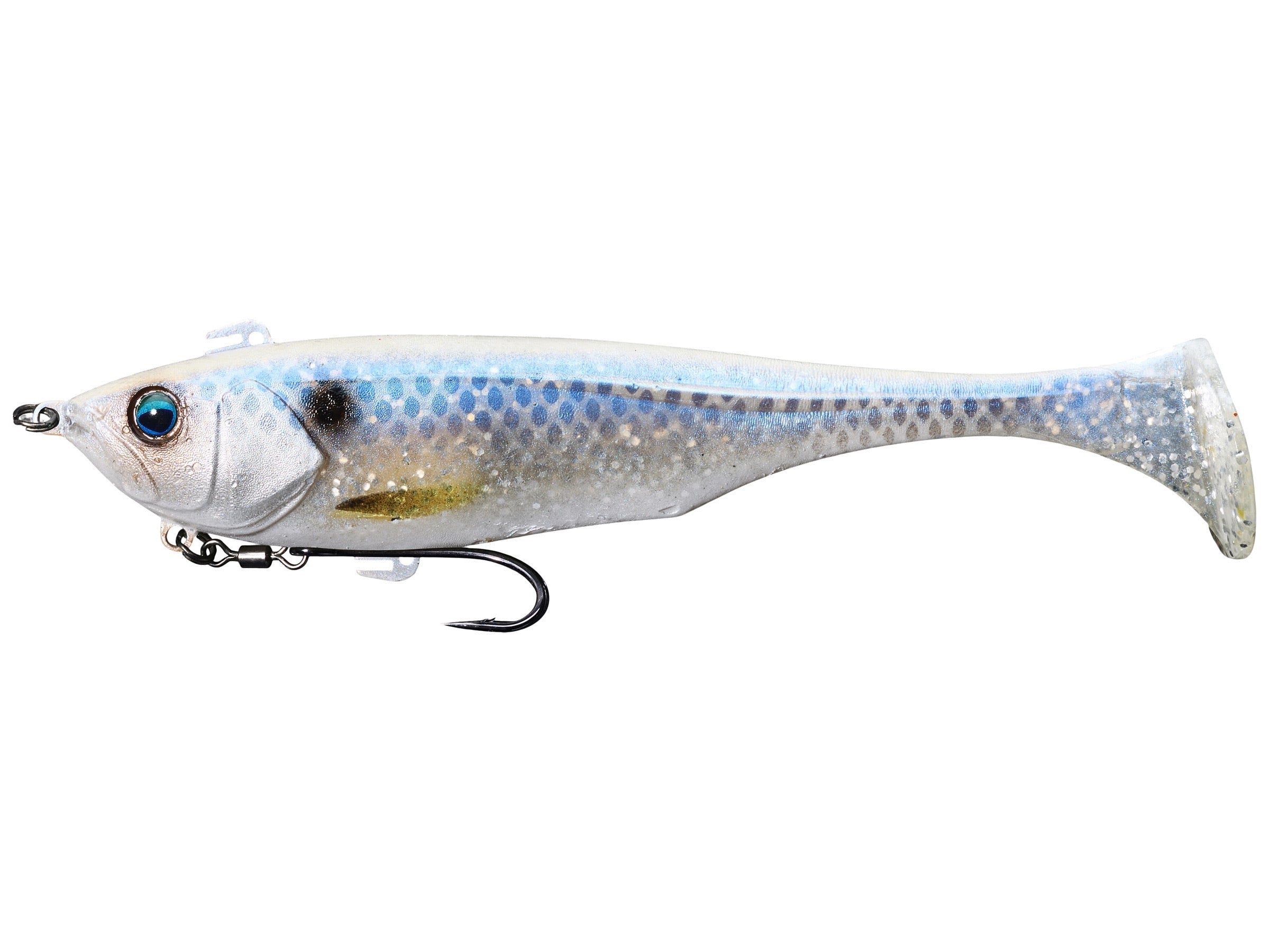 Clear Shad